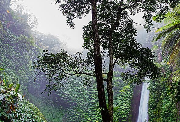 Products img 07 free img